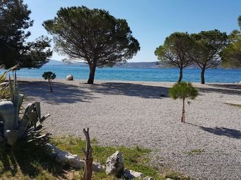 Park Otel Crikvenica Dış mekan fotoğraf